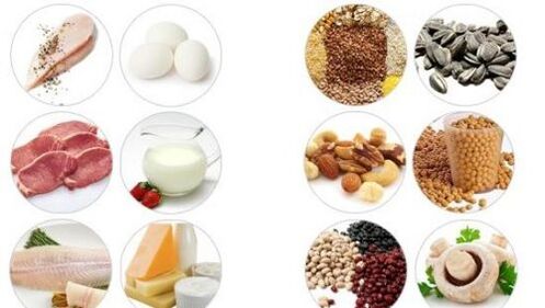 Foods high in animal and vegetable protein for the potential of men